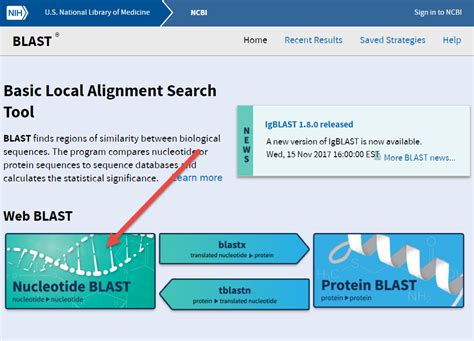 ncbi nucleotide blast|ncbi nlm nih gov blast.